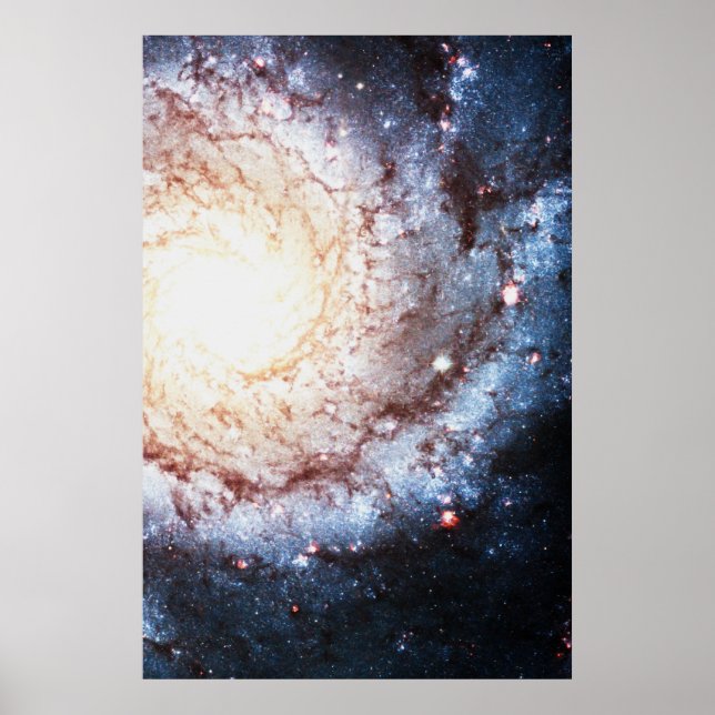 Colorful Cosmos Poster (Front)