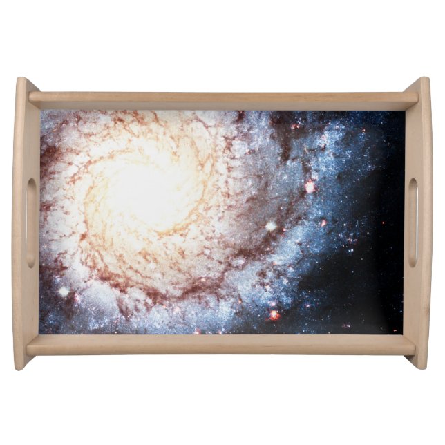 Colorful Cosmos Serving Tray (Front)