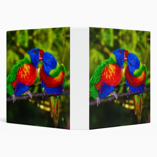 Colorful Couple of Kissing Parrots 3 Ring Binder