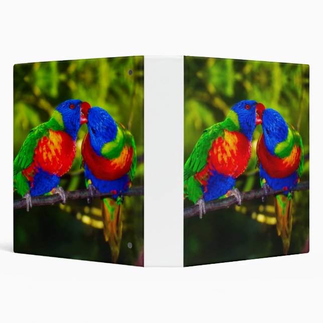 Colorful Couple of Kissing Parrots 3 Ring Binder (Background)