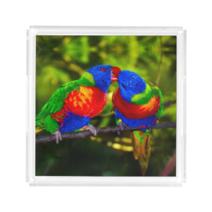Colorful Couple of Kissing Parrots Acrylic Tray