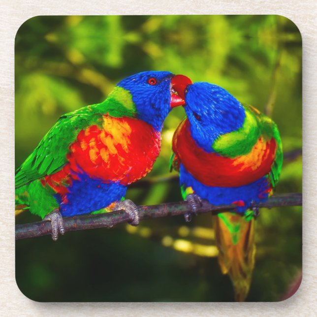 Colorful Couple of Kissing Parrots Beverage Coaster (Front)