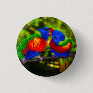 Colorful Couple of Kissing Parrots Button
