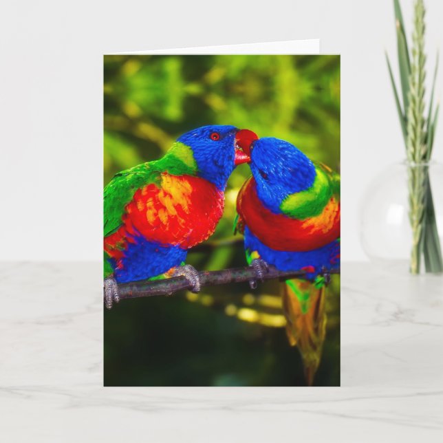 Colorful Couple of Kissing Parrots Card (Front)