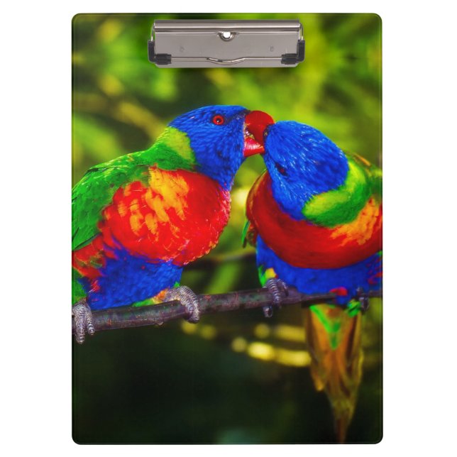 Colorful Couple of Kissing Parrots Clipboard (Front)