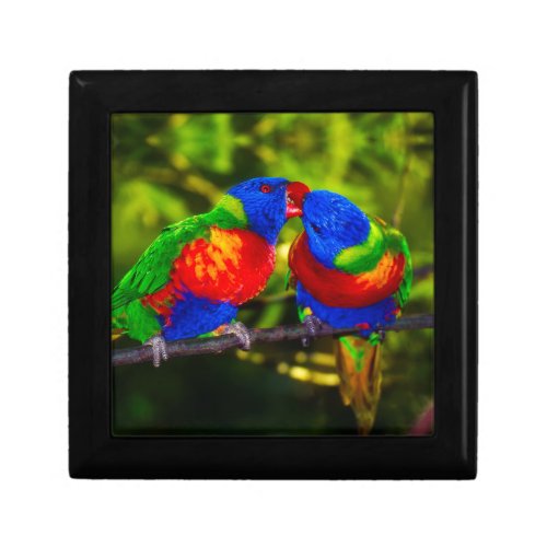 Colorful Couple of Kissing Parrots Gift Box