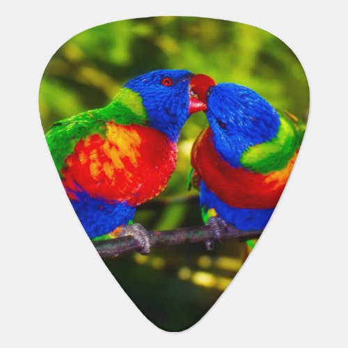 Colorful Couple of Kissing Parrots Guitar Pick
