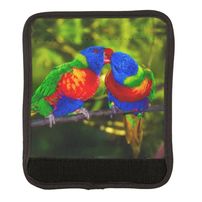 Colorful Couple of Kissing Parrots Luggage Handle Wrap (Front)