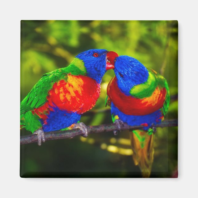 Colorful Couple of Kissing Parrots Magnet (Front)