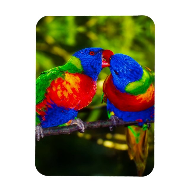 Colorful Couple of Kissing Parrots Magnet (Vertical)