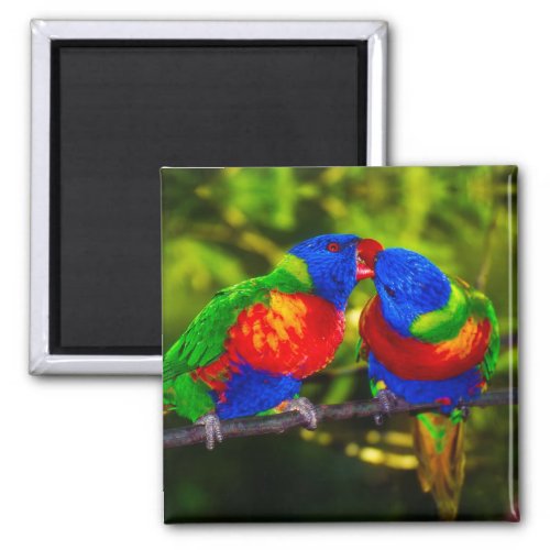 Colorful Couple of Kissing Parrots Magnet