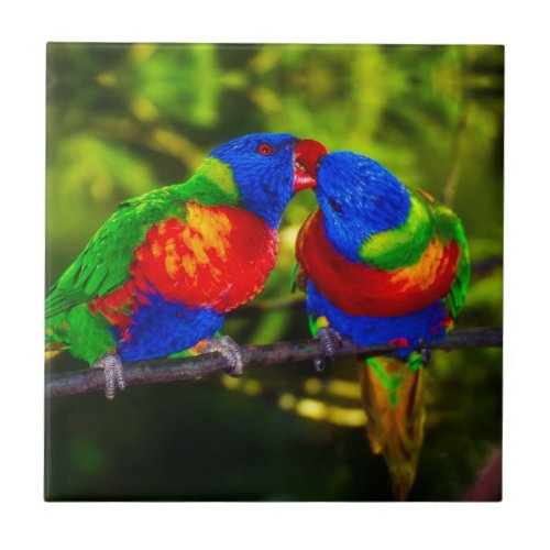 Colorful Couple of Parrots Tile