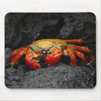 Colorful Crab Mouse Pad