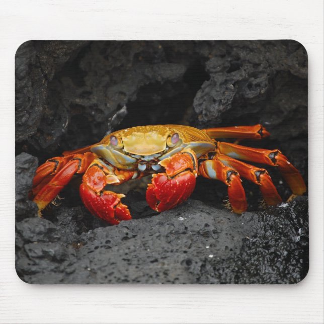 Colorful Crab Mouse Pad (Front)