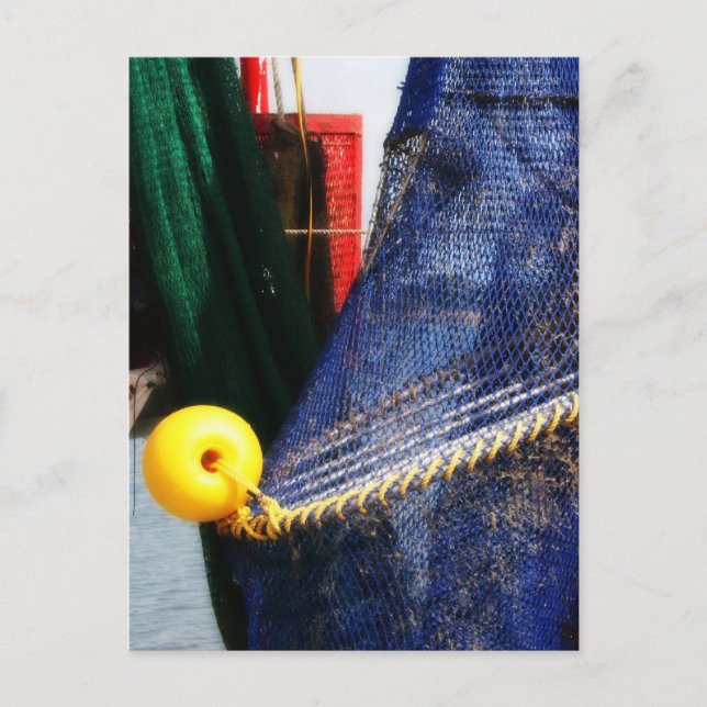 Colorful crabbing fishing nets and floats, florida postcard (Front)