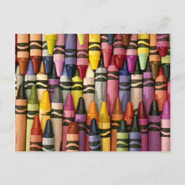 Colorful Crayons Postcard (Front)