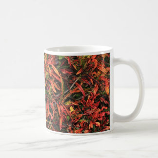 Colorful Croton mug