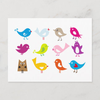 Colorful cute birds postcard