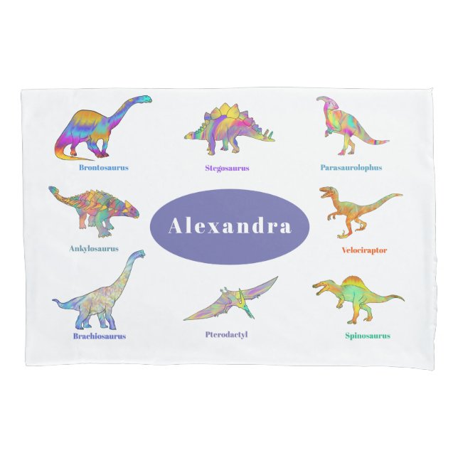 Colorful Cute Dinosaurs Personalized Name Pillow Case (Front)