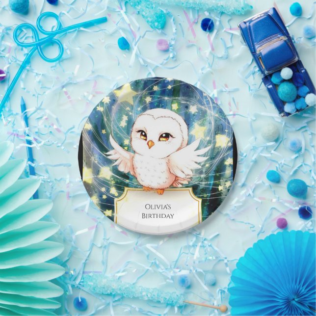 Colorful Cute Owl Birthday Paper Plates (Party)