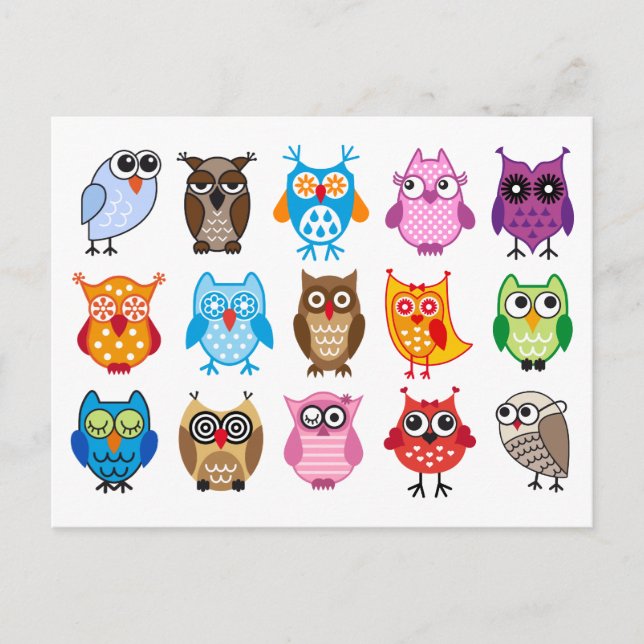 Colorful cute owls postcard (Front)