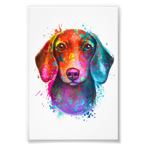 Colorful Dachshund Dog Art Illustration Photo Print