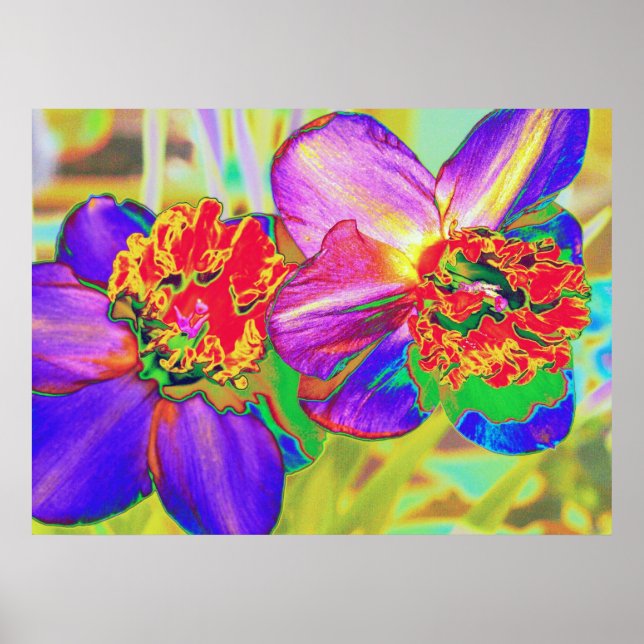 Colorful daffodil print (Front)