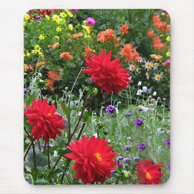 Colorful Dahlia Flower Garden Mousepad (Front)