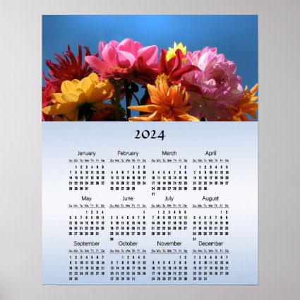 Colorful Dahlia Flowers 2024 Calendar Poster
