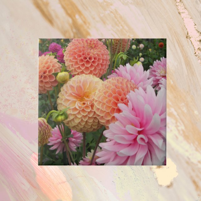 Colorful Dahlia Garden Floral Ceramic Tile (In Situ)