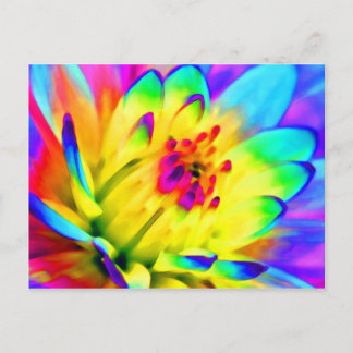 colorful dahlia postcard
