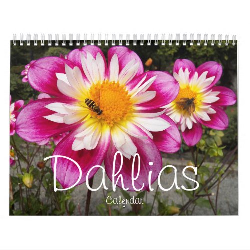 Colorful Dahlias Floral Photographic Calendar