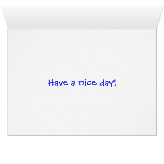 Colorful Daisies (Inside Horizontal (Bottom))