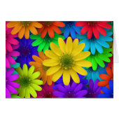 Colorful Daisies (Front Horizontal)