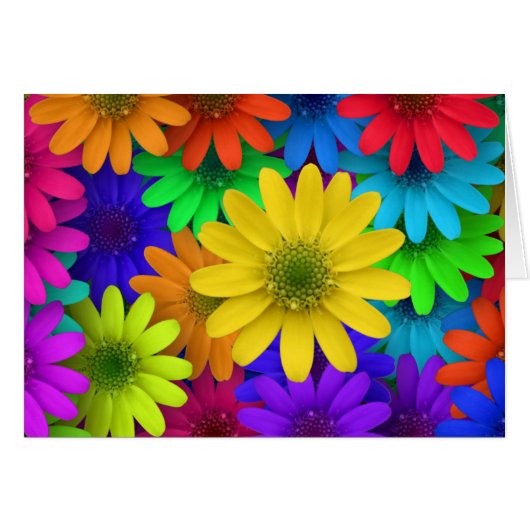 Colorful Daisies (Front Horizontal)