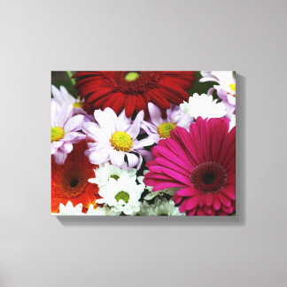 Colorful Daisies Canvas Print
