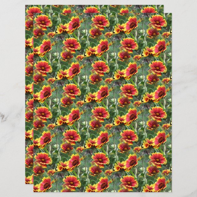Colorful Daisies Flower Nature Pattern Scrapbook (Front/Back)