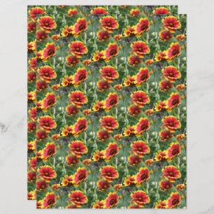 Colorful Daisies Flower Nature Pattern Scrapbook