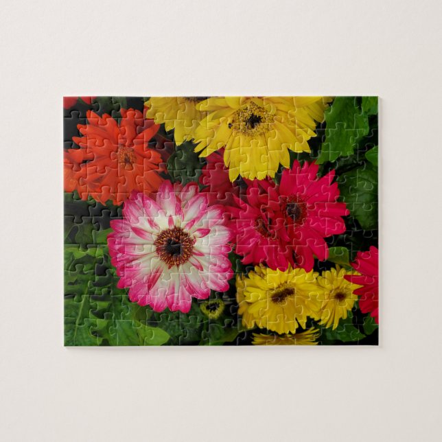 Colorful Daisies Jigsaw Puzzle (Horizontal)