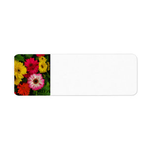 Colorful Daisies Label