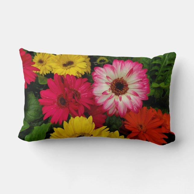 Colorful Daisies Lumbar Pillow (Back)