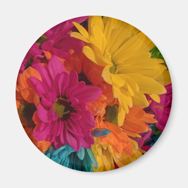 Colorful Daisies Magnet (Front)