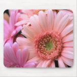Colorful Daisies Mouse Pad