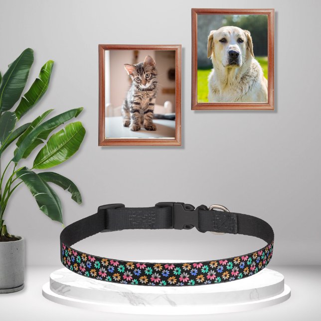 Colorful Daisies  Pet Collar (Creator Uploaded)