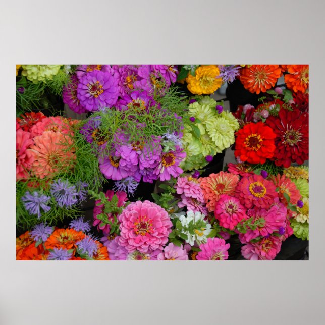 colorful daisies poster (Front)