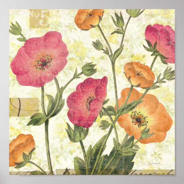 Colorful Daisies Poster (Front)