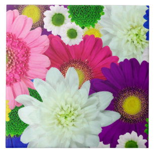 Colorful Daisies, summer blooms, Ceramic Tile