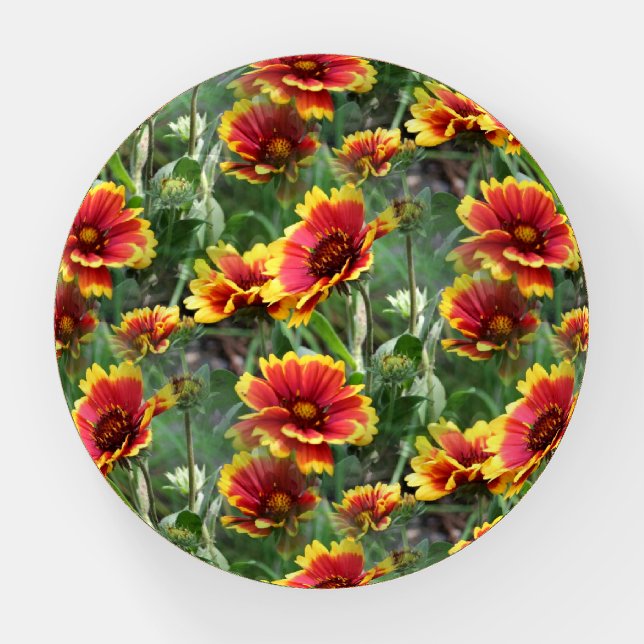 Colorful Daisy Flowers Nature Pattern   Paperweight (Front)