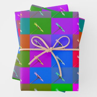 Colorful Daisy Squares, Abstract Floral Photograph