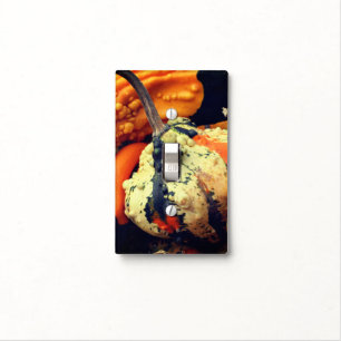 Colorful Decorative Gourds Close Up Fall Country Light Switch Cover